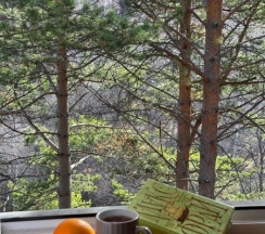 Одноместные номера в Forest Trail