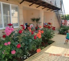 Люкс Однокомнатный большой в Якорь