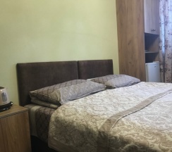 Двухместная комната стандарт с 1 кроватью в Успенка