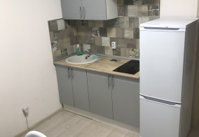 Апартаменты Апартаменты на Спутников 16  ЛОТ:16154 в Екатеринбурге