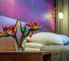 Комфорт в Загреб