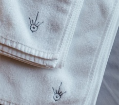 Deluxe (вид на горы) в Moon2