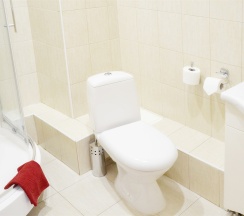 Комфорт  с 1-ой двуспальной кроватью в Евразийский