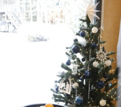 Смарт Студия в Вуокса-хутор