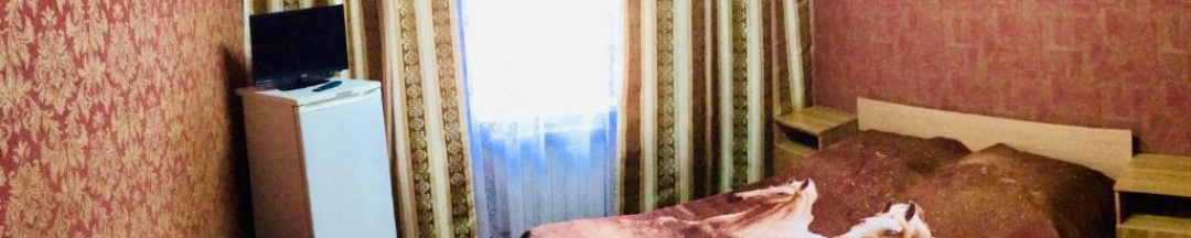 Номер стандарт с 1 двуспальной кроватью в Уют