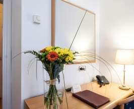 Одноместный номер Standard в Hotel Tivoli Prague