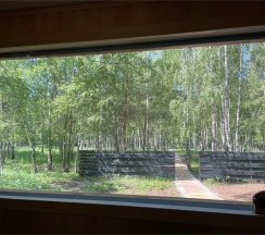 Можжевельник (Русская Баня) в Шепот