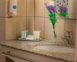 Двухместный люкс c 1 комнатой 2 отдельные кровати в Louis Althea Beach Hotel