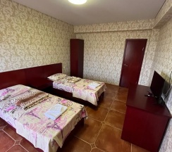 Стандарт эконом двухместный без балкона вид во двор в Дени Дельмар