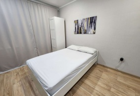 Апартаменты Апартаменты на мкр-н Дружба, 4/2 в Новом Уренгое