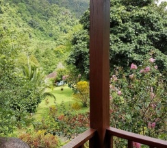 Одноместная вилла Standard в Phanom Bencha Mountain Resort