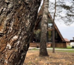 Коттедж стандарт в Ёлки-Дом у леса