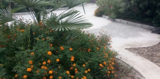 Цкуара: Гостевой дом У Комаровых