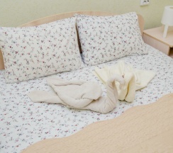 Бюджетный двухместный номер с 1 кроватью и общей ванной комнатой в ЗОО