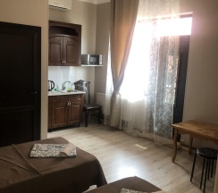 Апартаменты улучшенные с кухней и балконом в Кристина