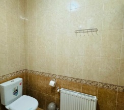 СТАНДАРТ ТРЕХМЕСТНЫЙ 10 в Два брата