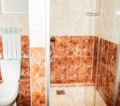 Трёхместный номер Standard в Сияние