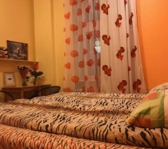 Двухместный номер Standard двуспальная кровать в Tiger Hostel
