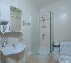 ДЕЛЮКС (без балкона) в Хвалынский Парк-Отель & SPA