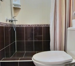 Двухместный номер Standard с балконом 2 отдельные кровати в Аист