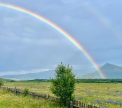 Гостевые дома в Уймон-Парк