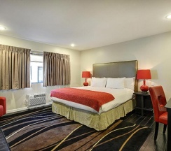 Двухместный номер Standard двуспальная кровать в Shelter Hotel Los Angeles