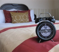 Одноместный номер EXCLUSIVE в O`Hara