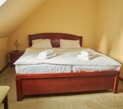 Стандарт Мансарда dbl в Greenberg