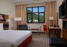 Сочи: Отель Radisson Hotel Rosa Khutor