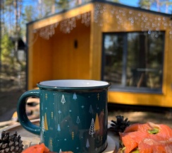 мини-домик на 2 человек в Лисички