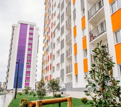 Персик 56 в Neoroom Service