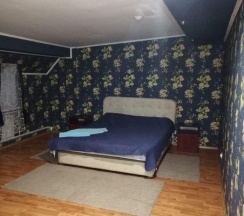 Номер полулюкс с 1 двуспальной кроватью в Мельница