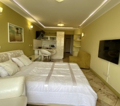 1-комнатные апартаменты студия #1460 в Deluxe apartments