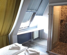 Двухместный номер Standard в Hotel Arena Inn
