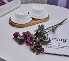 Бюджетный номер с раскладывающийся кроватью в Наше радушие