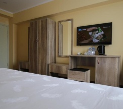 Двухместный номер Standard двуспальная кровать в Altai Business Hotel