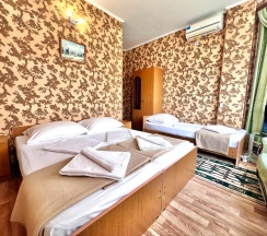 Трехместный номер в Каролина