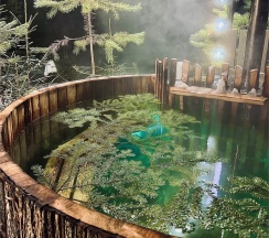 A-frame Black в Ёlki