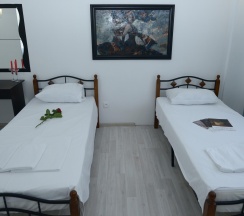 2-местный номер стандарт в Deltafly hotel