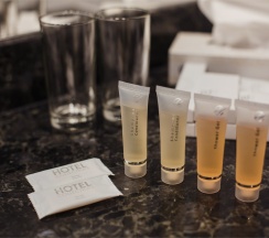 Апартаменты двухкомнатные в Бенефит Плаза