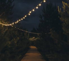 Дом в хвойном лесу в Хвоя