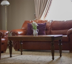 Номер полулюкс с 1 двуспальной кроватью в Барский флигель