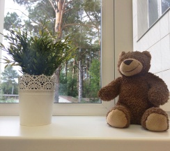 Кровать в 4-местном общем номере в Плюшевый Мишка