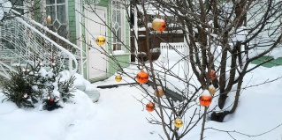 Плес: Гостевой дом Вишнёвый сад