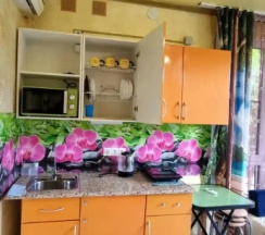 Апартаменты c 1 комнатой с балконом в Кристалл