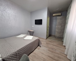 Стандарт в Фаина