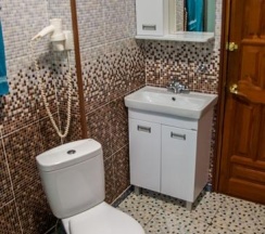 3-местный номер стандарт полулюкс в Медведь