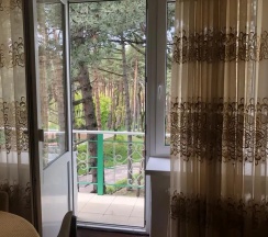 Люкс с красивым видом из окна в Надежда