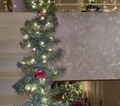 Семейный в Domenikana