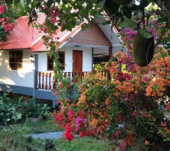 Бунгало Superior в Areeya Resort
